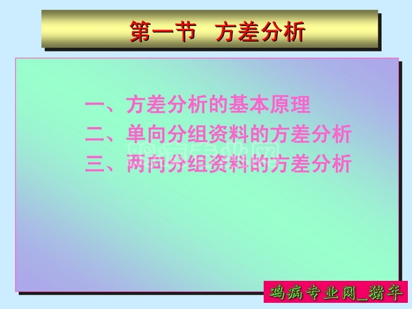 1_ҳ_003.JPG