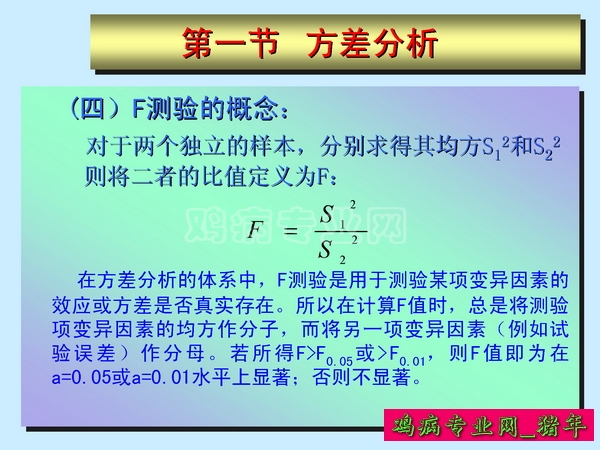 1_ҳ_013.JPG