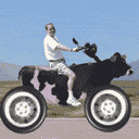 69481.gif