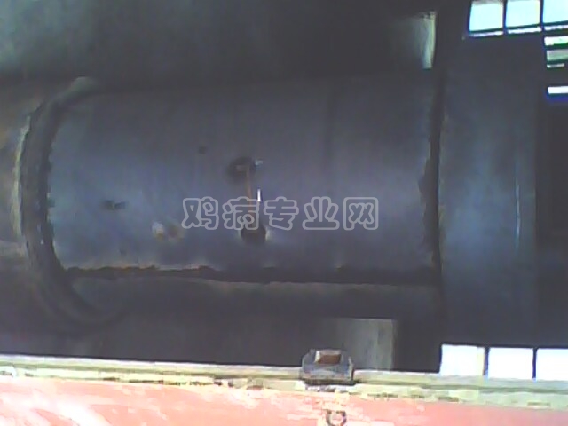 IMG0153A.jpg