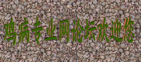 ̳ӭ.gif