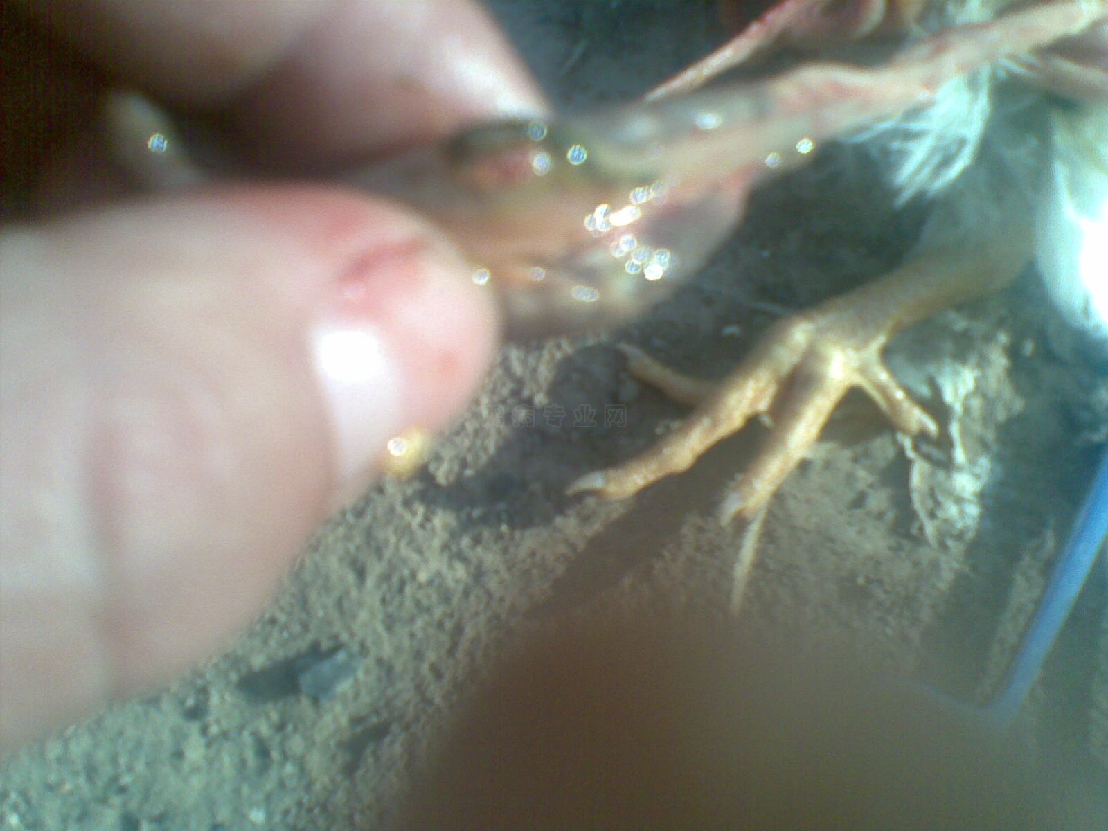 20100429(004).jpg