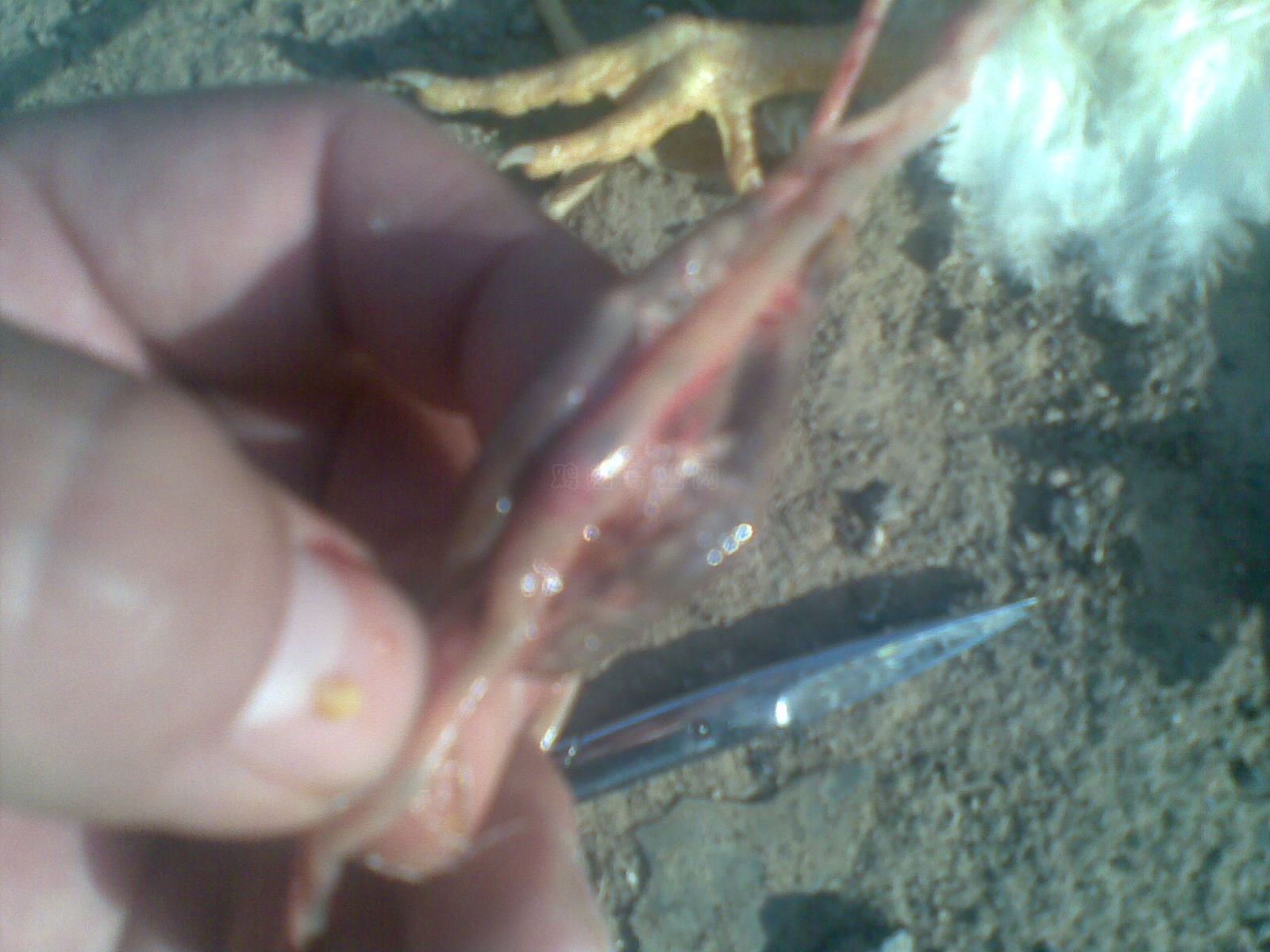 20100429(002).jpg
