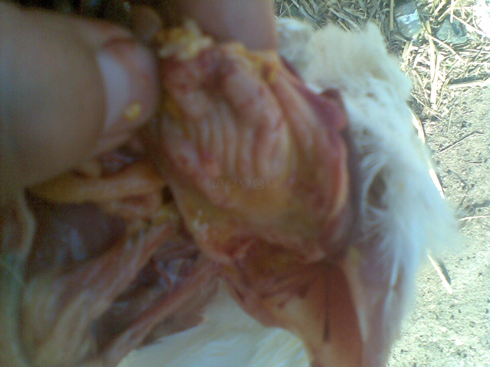 20100429(001).jpg