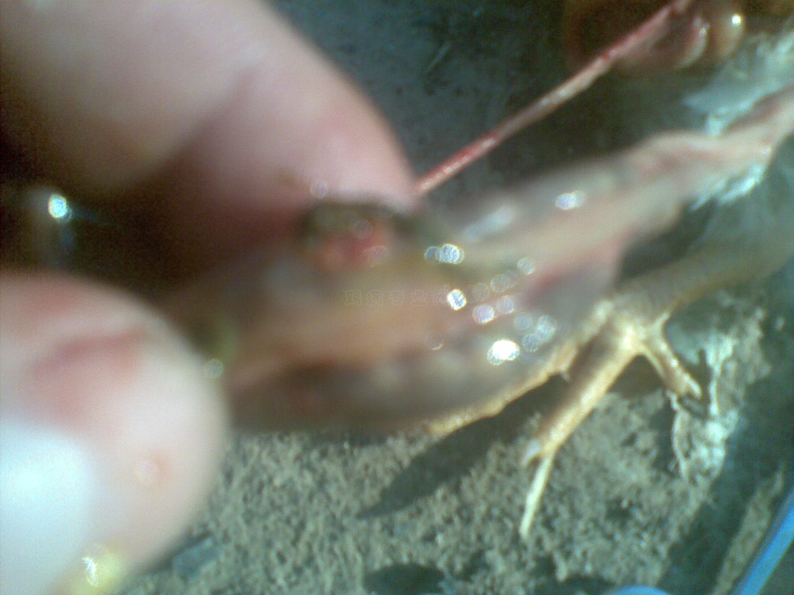 20100429(003).jpg