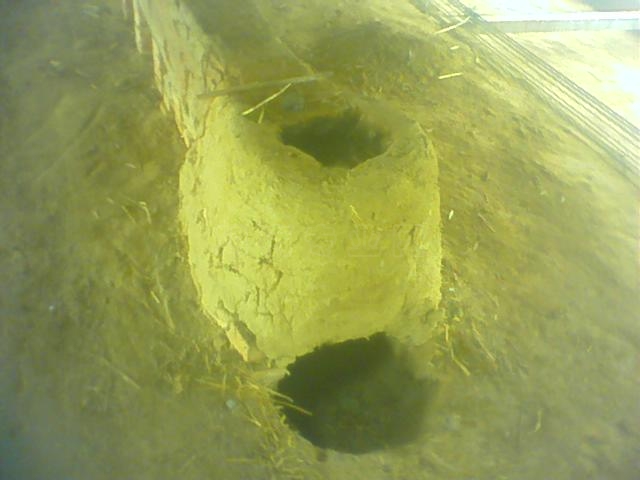 0420_1126.jpg