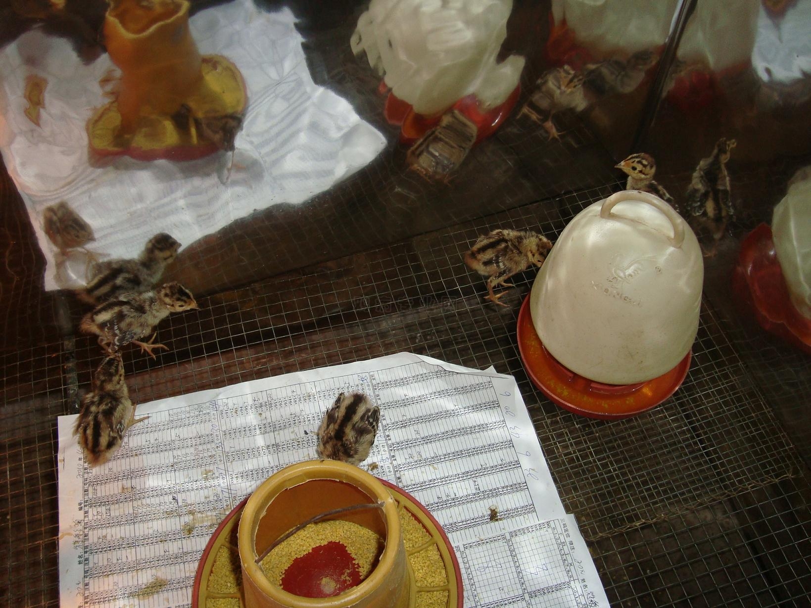 DSC02235.JPG