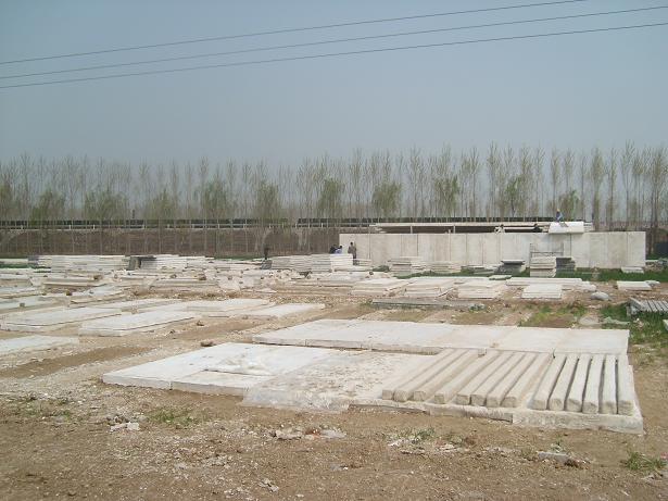  SL276914.JPG
