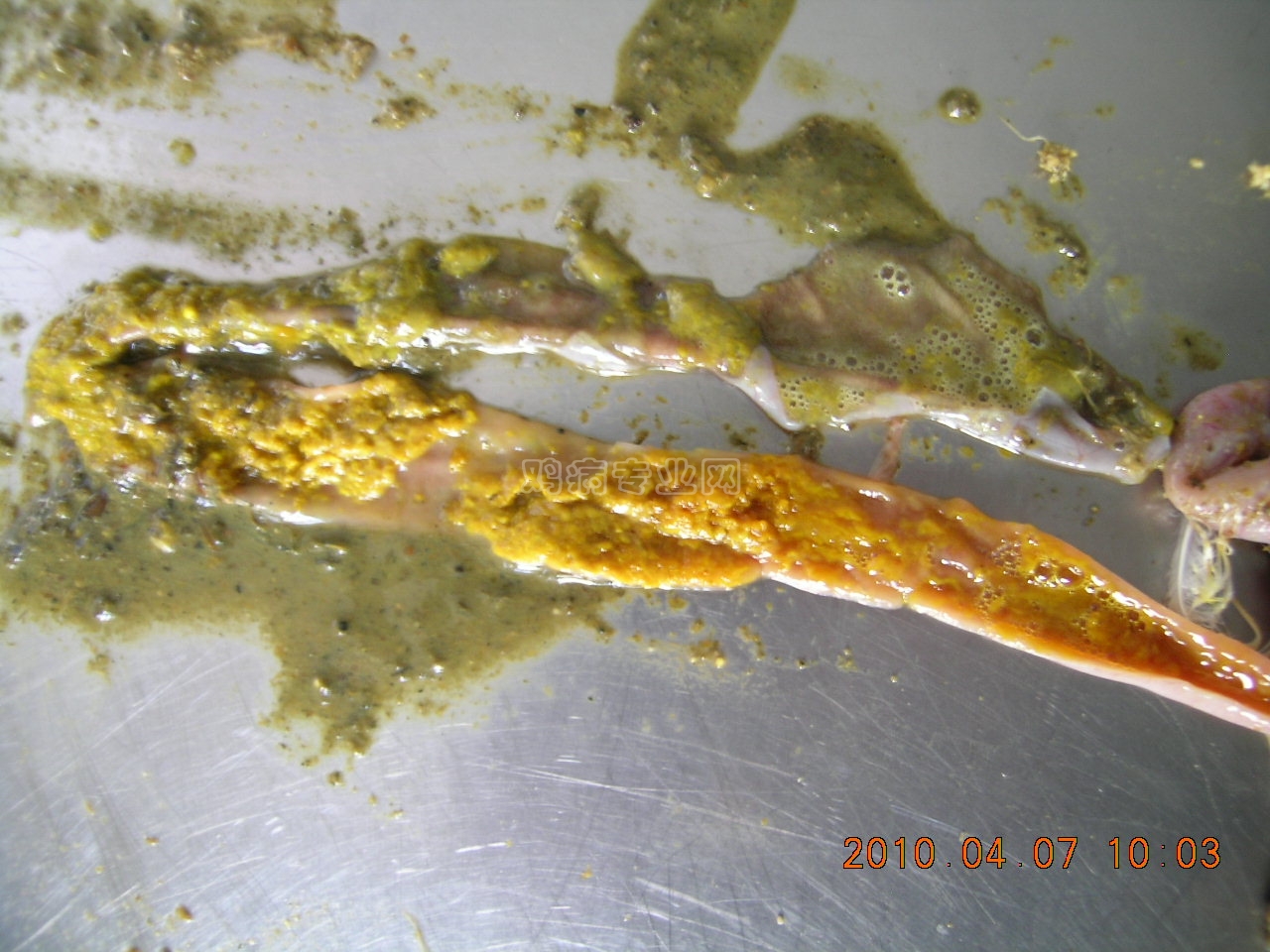 DSCN6021.JPG