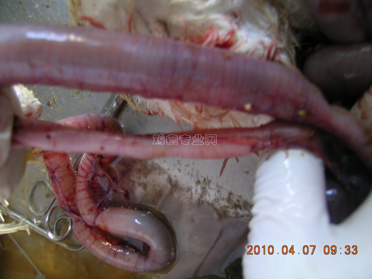 DSCN6007.JPG