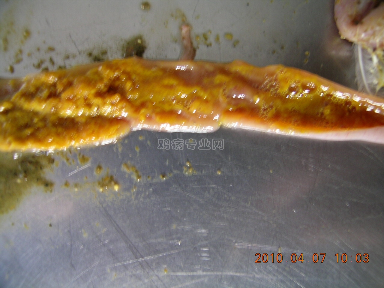 DSCN6020.JPG