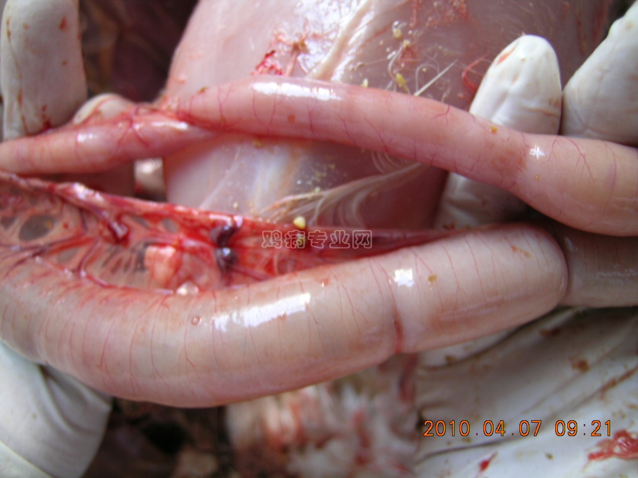 DSCN6005.JPG