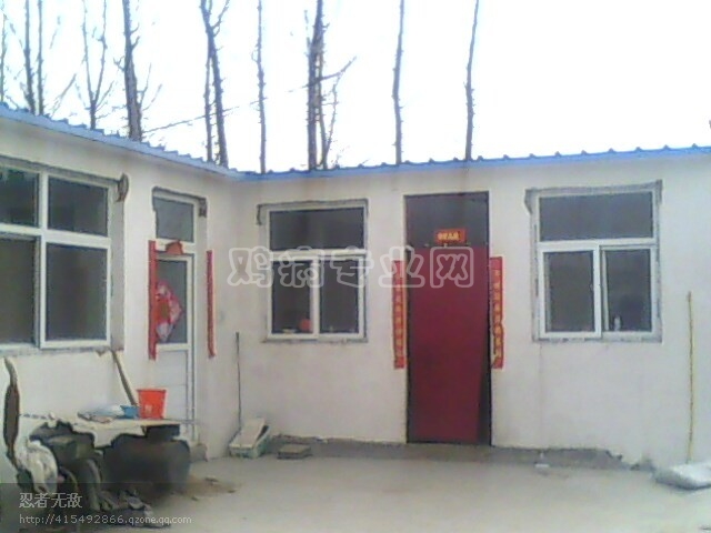 http_imgload78.jpg