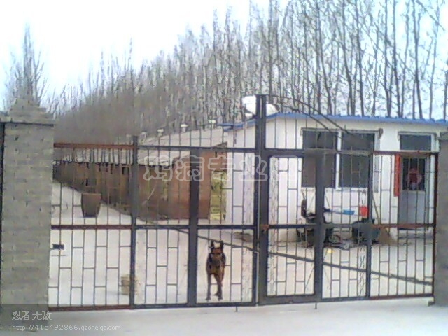 http_imgload122.jpg