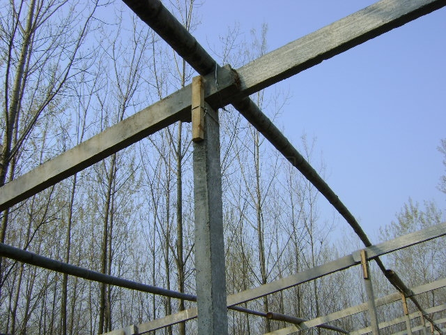DSC02458.JPG
