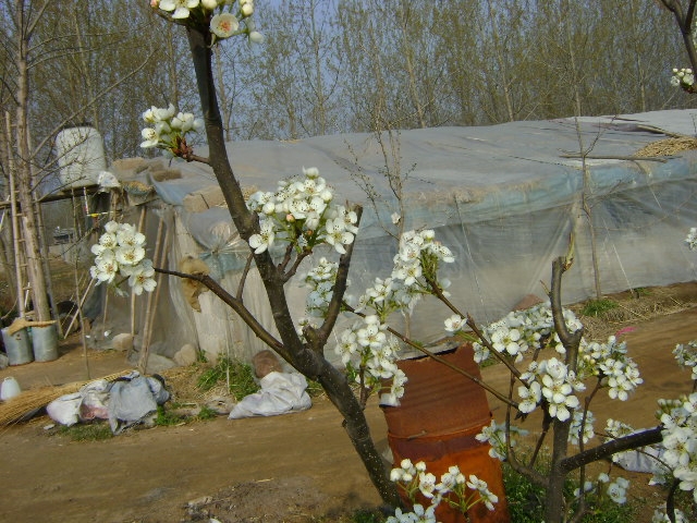 DSC02442.JPG