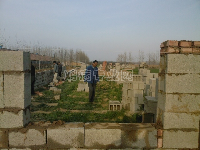 Ƭ0008.jpg