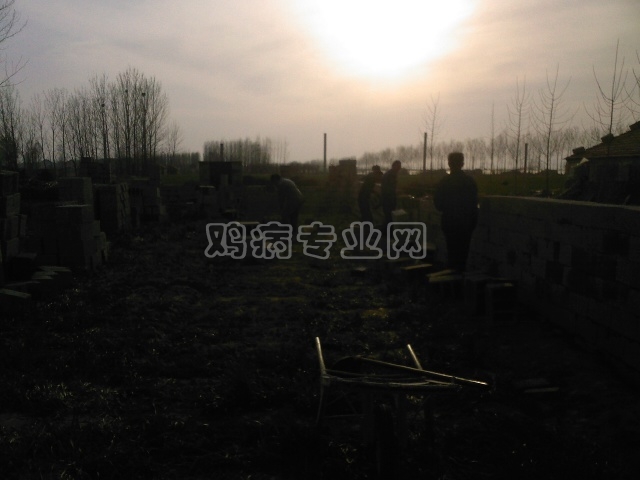 Ƭ0009.jpg