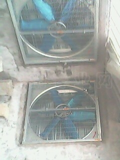 Ƭ 015.jpg