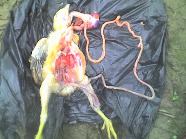 04-30-10_2005.jpg