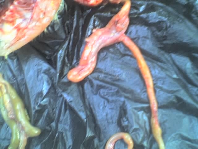 04-30-10_1845.jpg