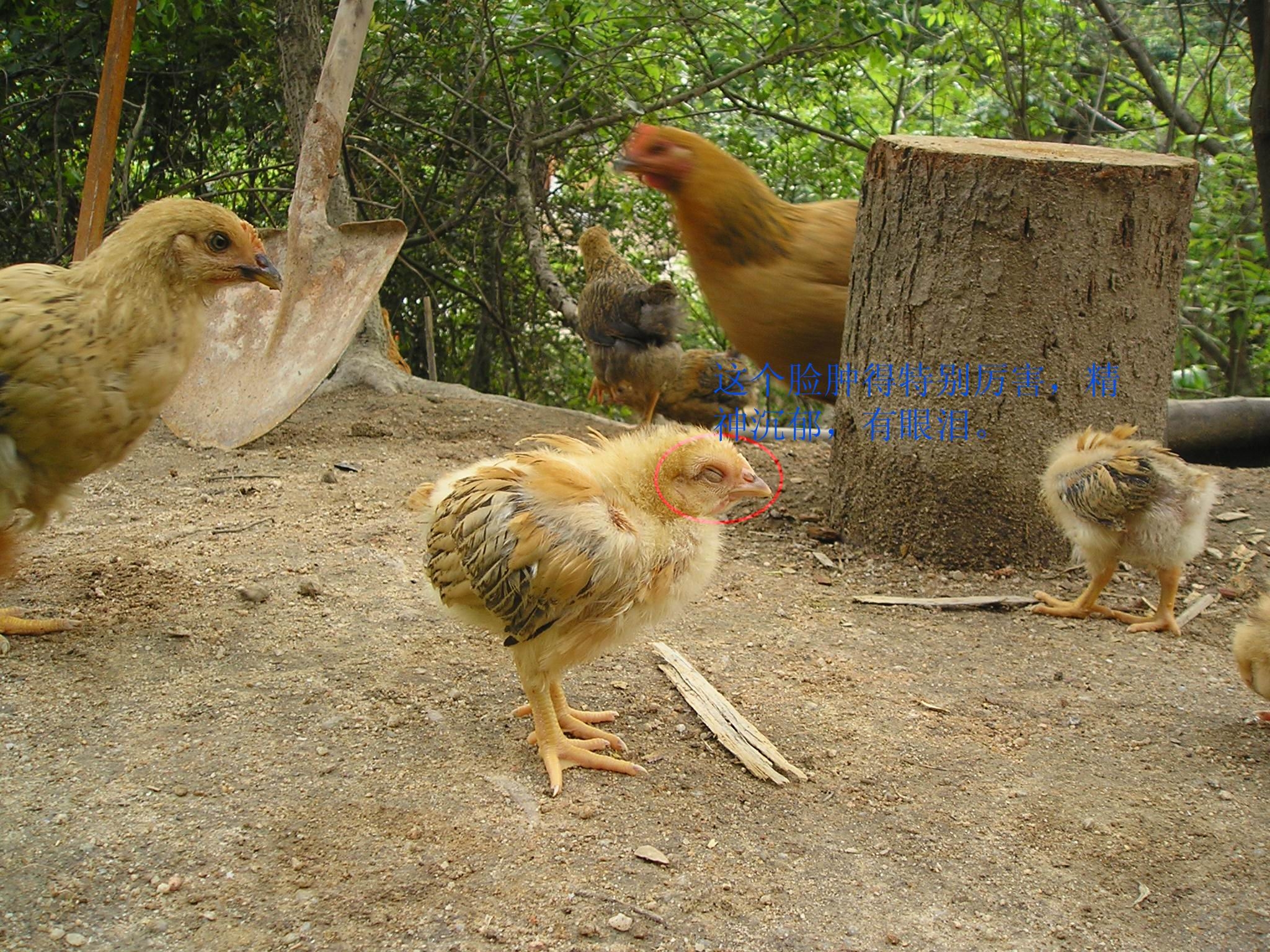 P1010373.jpg