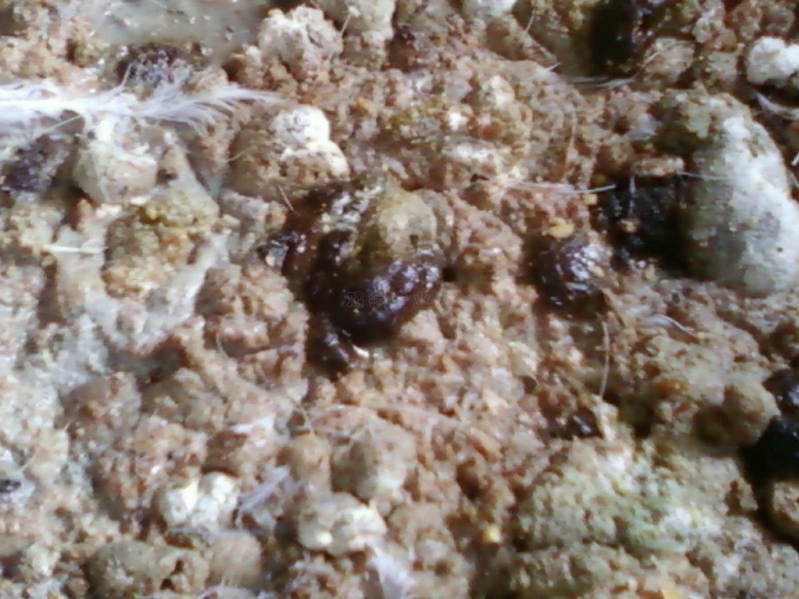 Ƭ-0120.jpg