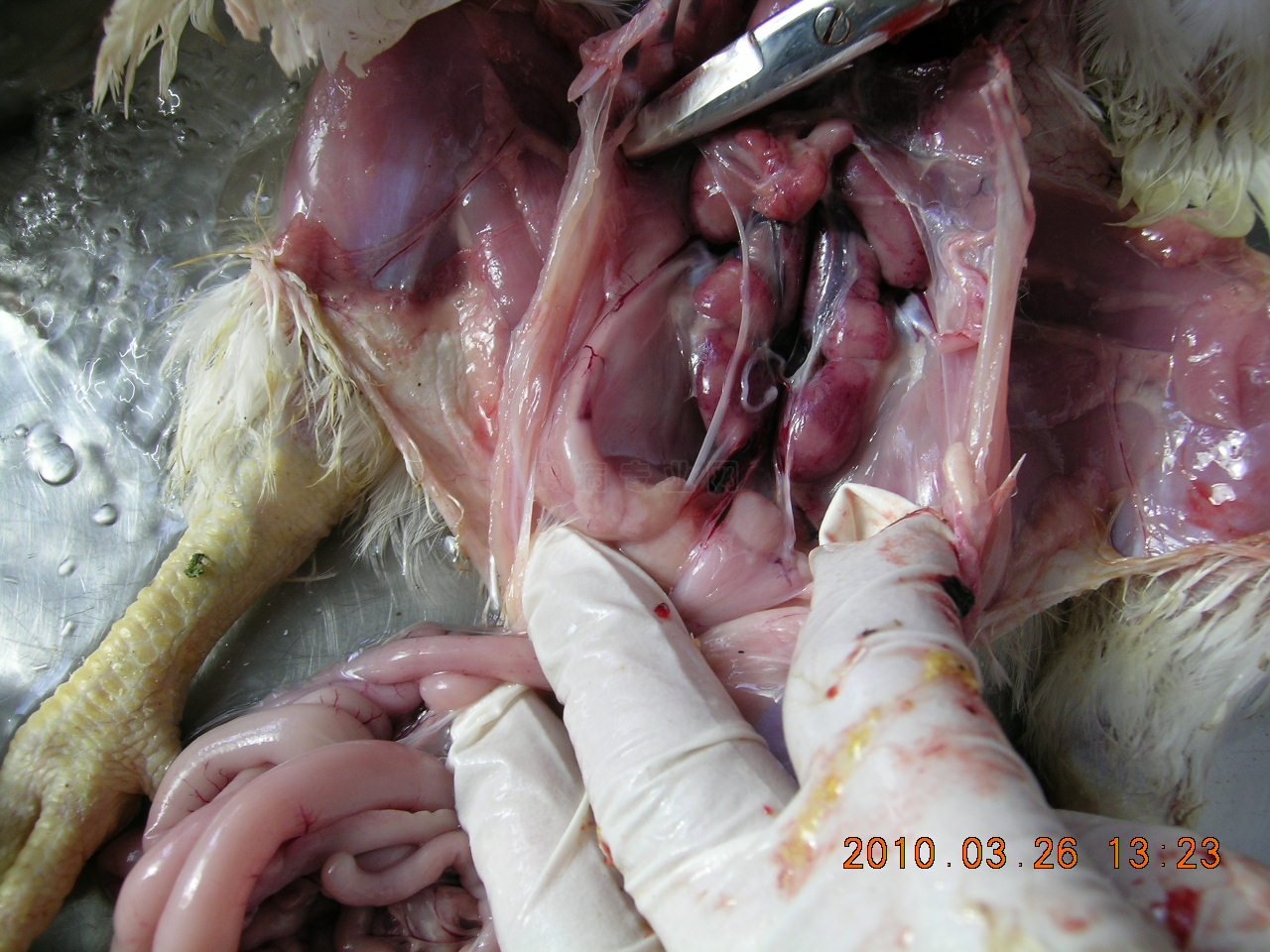 DSCN5984.JPG