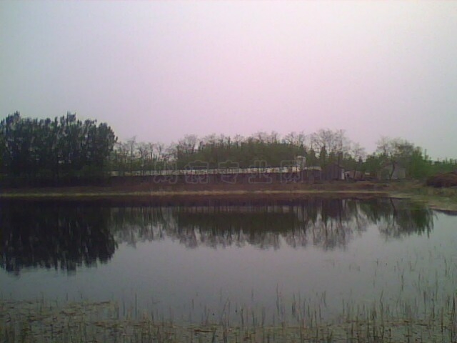 IMG0495A.jpg