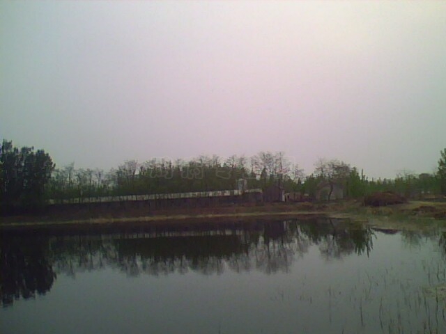 IMG0497A.jpg