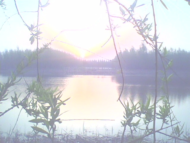 IMG0476A.jpg