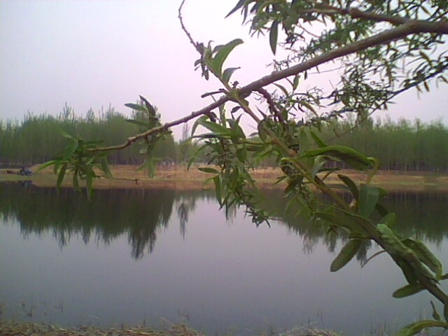 IMG0484A.jpg