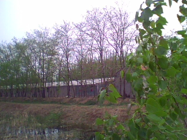 IMG0502A.jpg