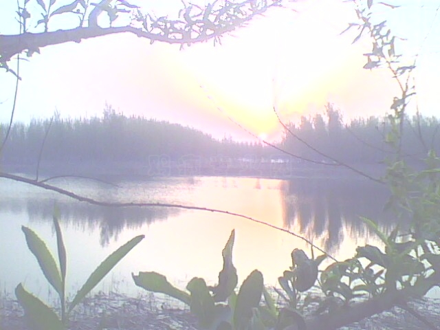 IMG0473A.jpg