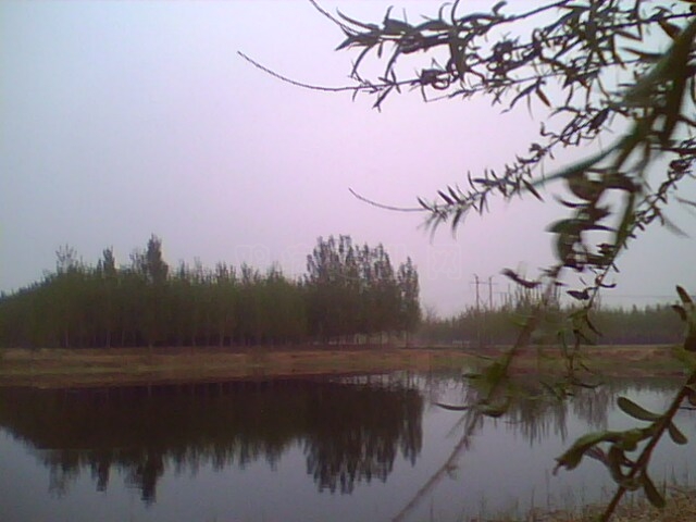 IMG0493A.jpg