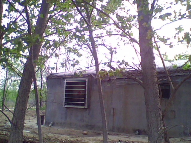 IMG0486A.jpg