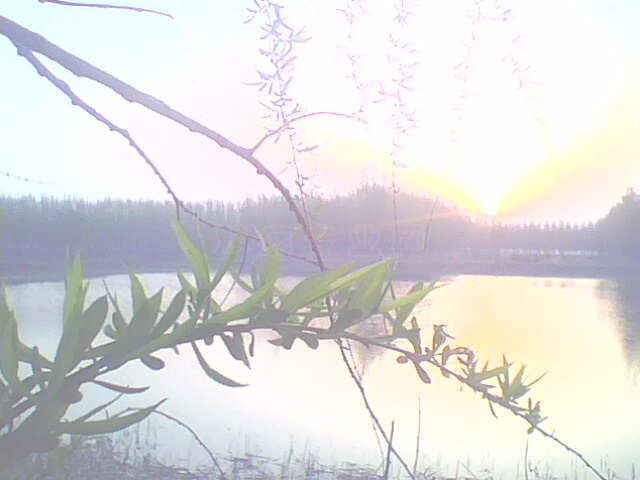 IMG0478A.jpg