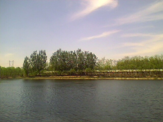 IMG0505A.jpg