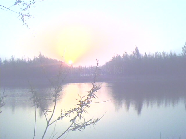 IMG0479A.jpg