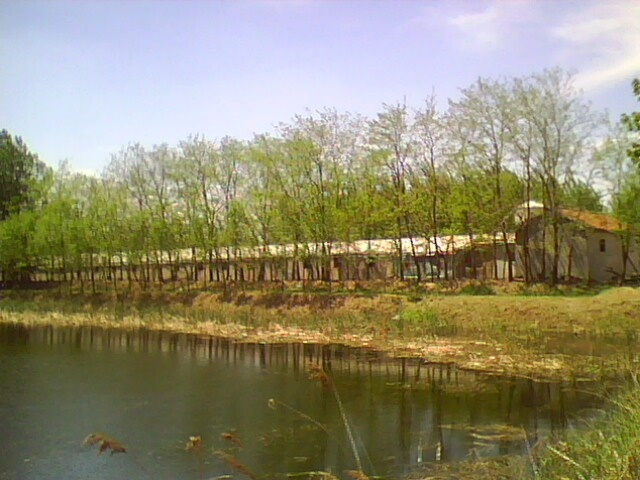 IMG0503A.jpg