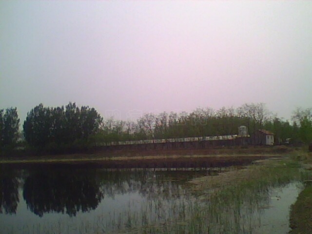 IMG0499A.jpg