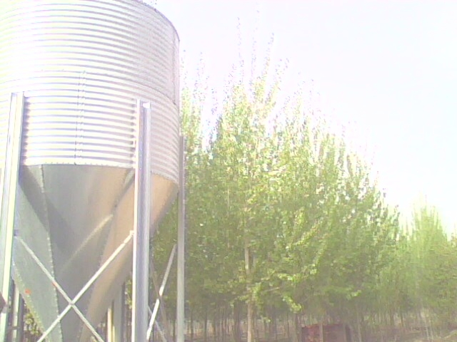 IMG0482A.jpg