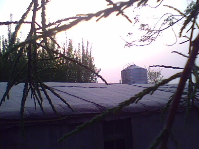 IMG0487A.jpg