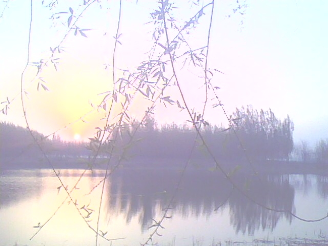 IMG0475A.jpg