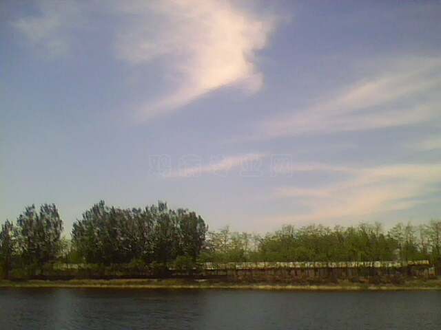 IMG0506A.jpg
