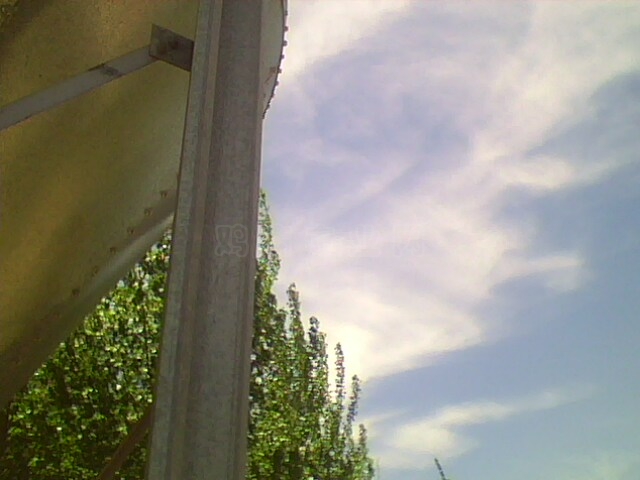 IMG0507A.jpg