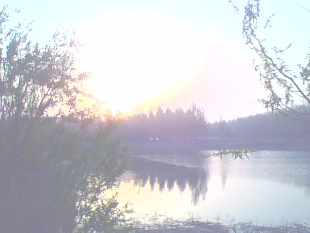IMG0480A.jpg