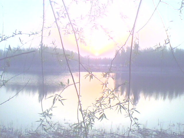 IMG0474A.jpg