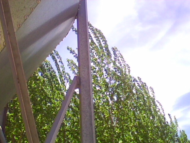 IMG0508A.jpg