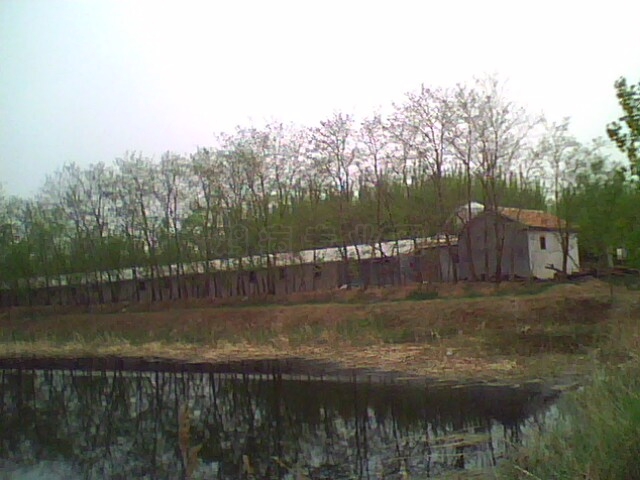 IMG0501A.jpg